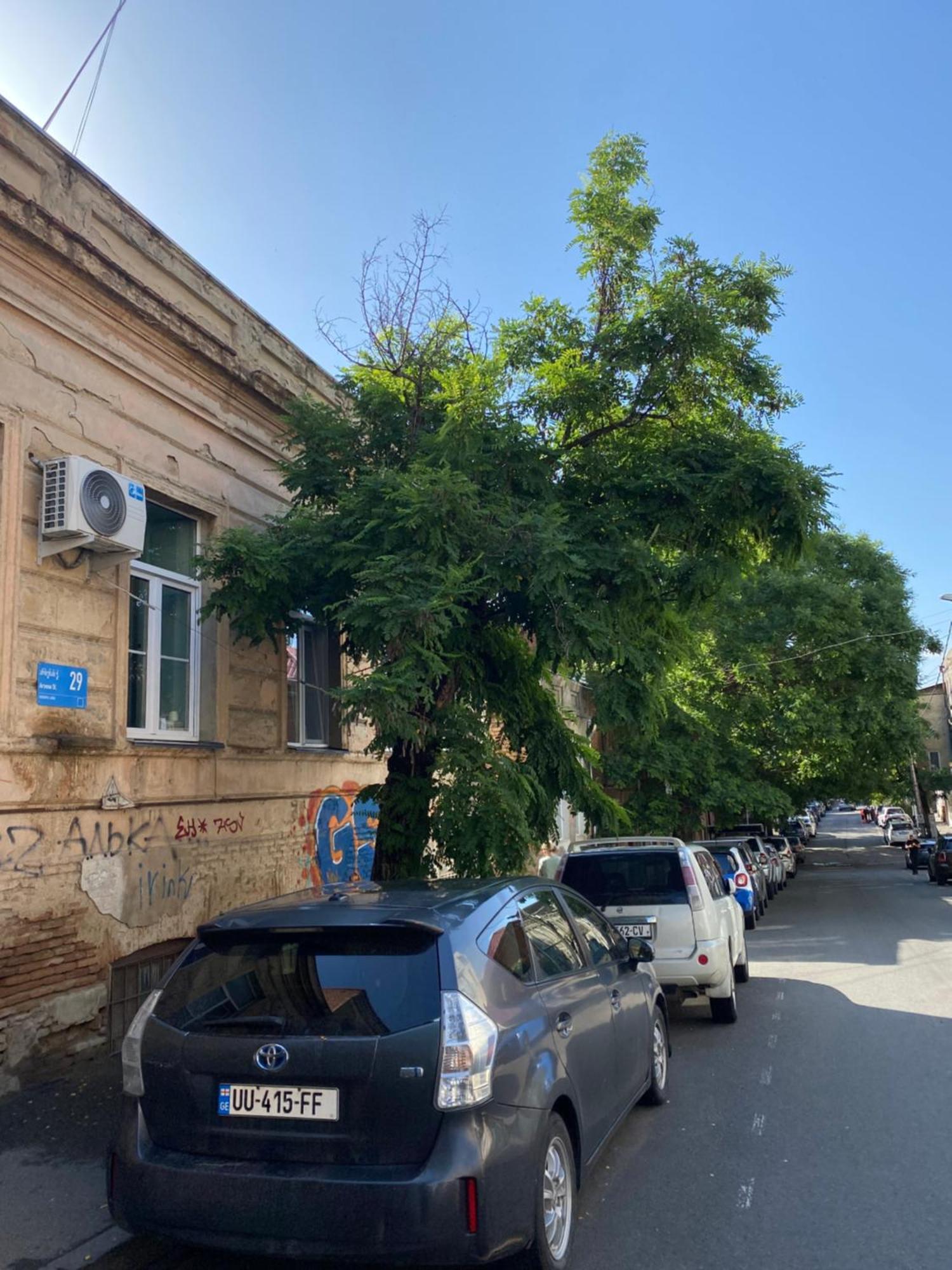 Old Tbilisi City Center, Two - Room Apartment Exterior foto